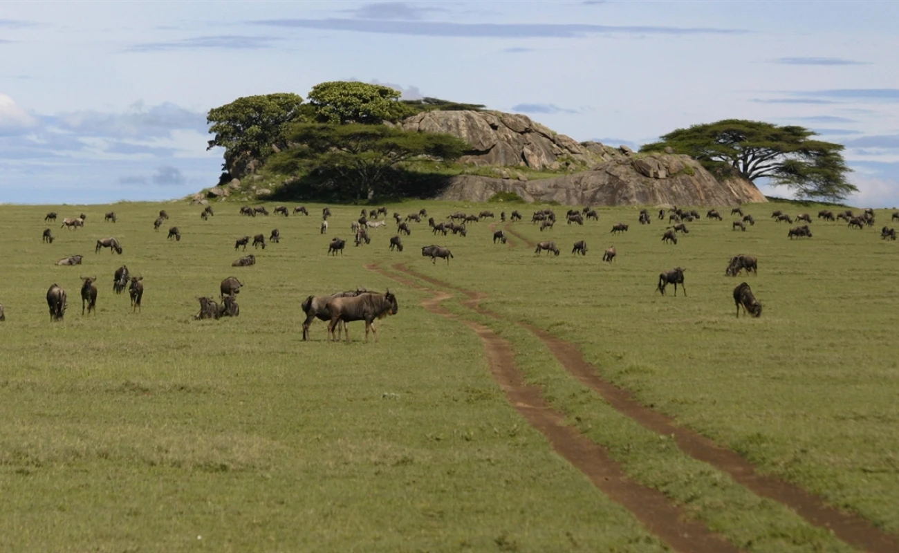 9 días Tanzania y Zanzibar (3 días) - Aventura 5 estrellas - 4