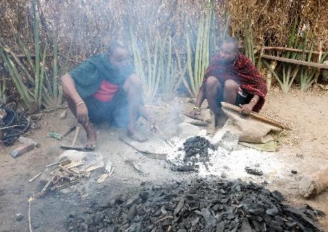 10 Días Safari Kipama Kubwa Tanzania