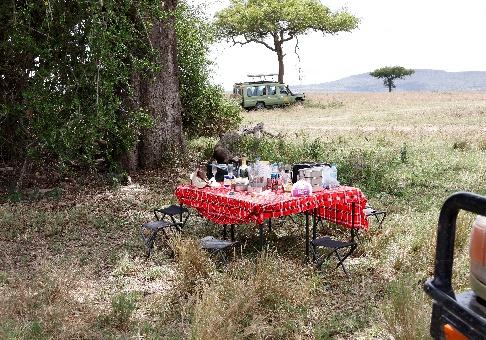 10 Días Safari Kipama Kubwa Tanzania