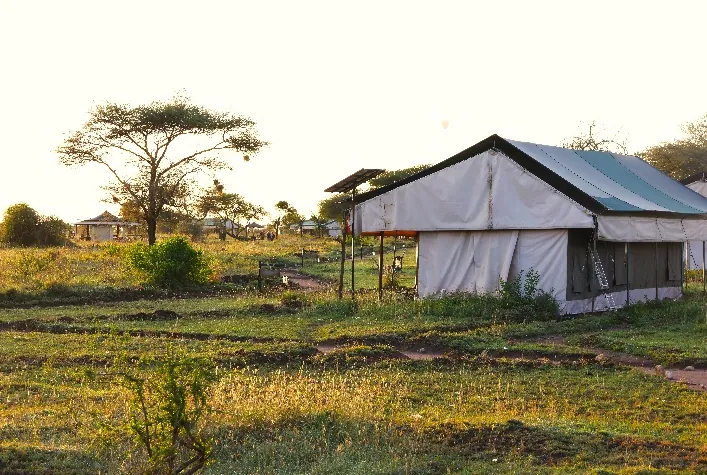 9 Días - Safari Gran Migración y Étnica