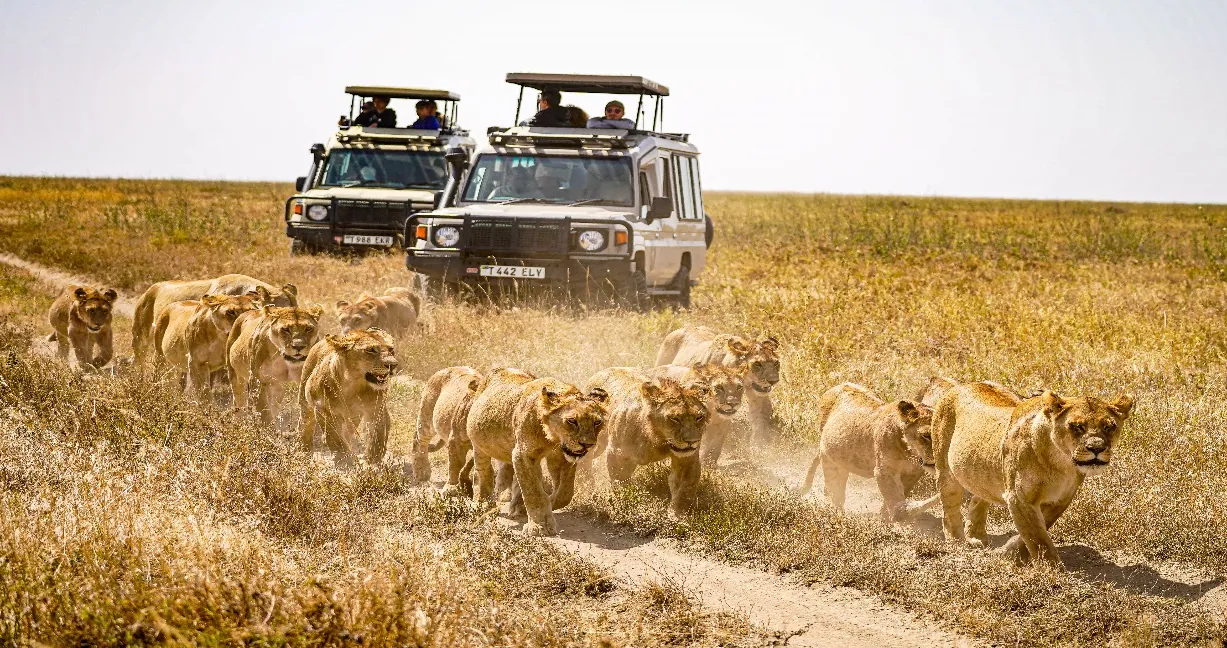 9 Días - Safari Gran Migración y Étnica