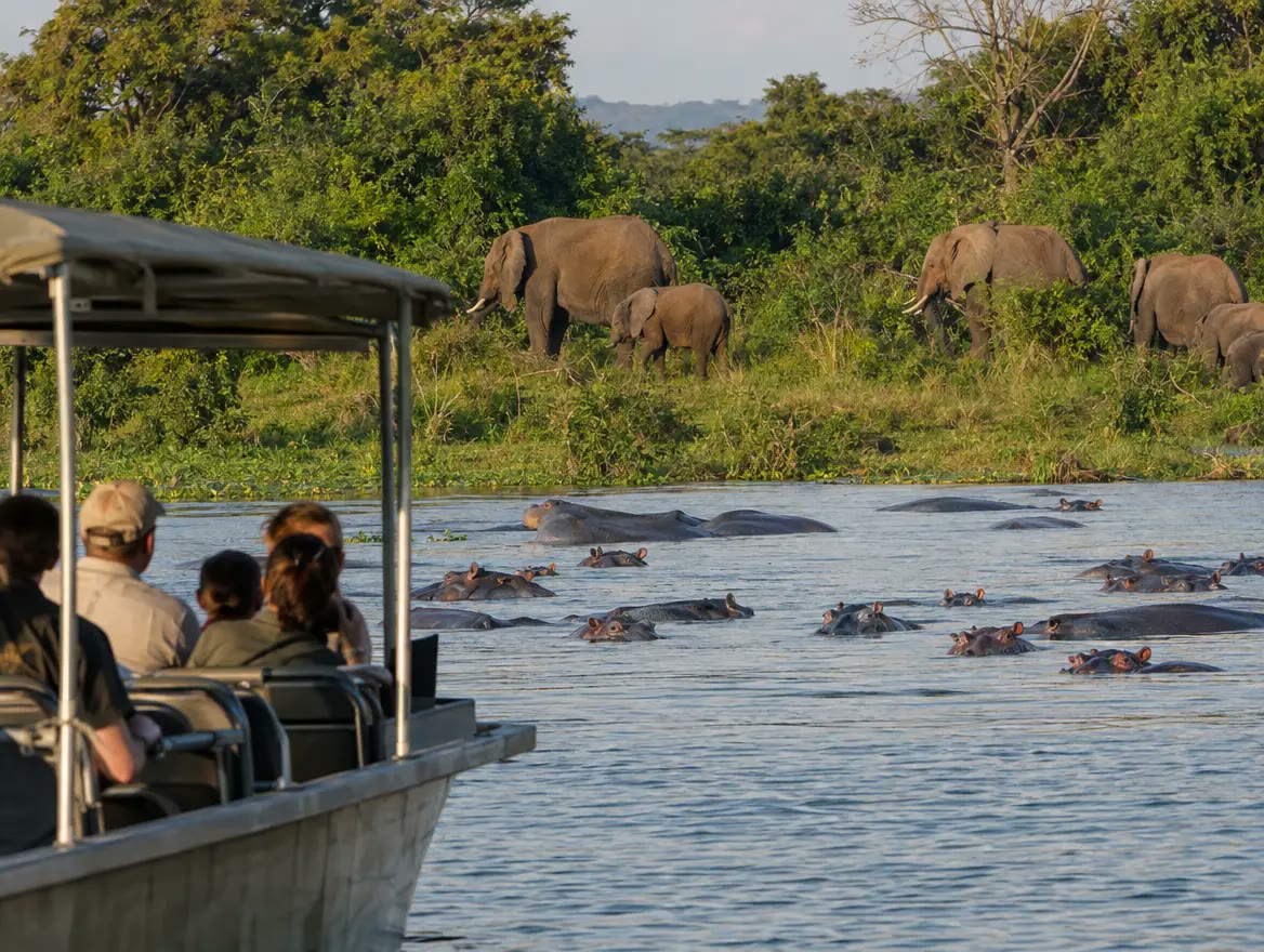 12 Días Safari Uganda: Gorilas en la Niebla y Chimpancés